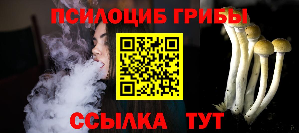 Курчалой  Псилоцибиновые грибы прущие грибы  Галлюциногенные грибы Magic Shrooms  Вход с VPN 