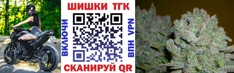 Бошки марихуана планчик  купить наркотики сайты  Курчалой 